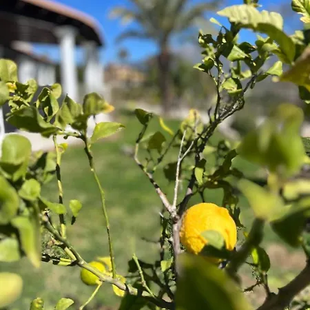 Estrellas Villa *
